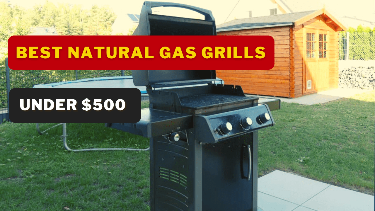 Best Natural Gas Grills Under 500 In 2022 Expert Reviews